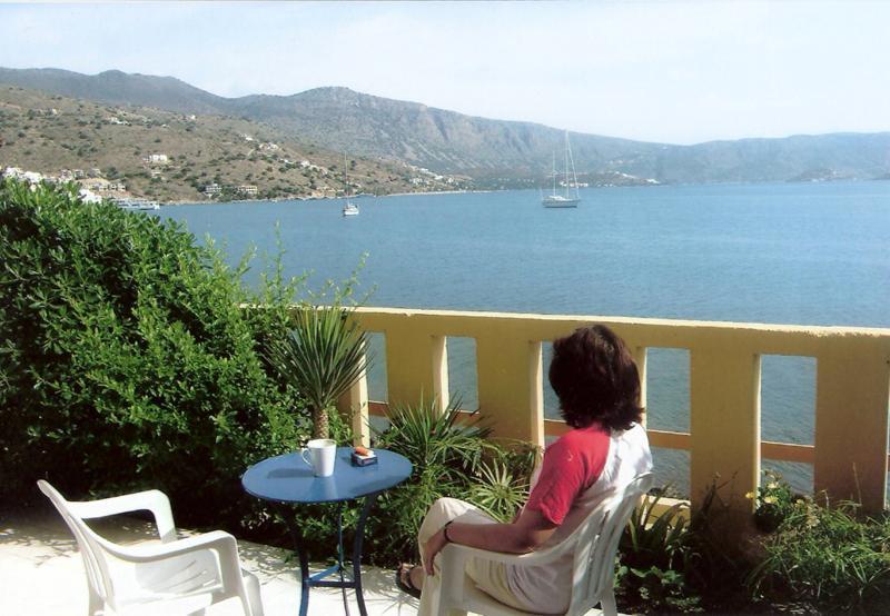 Dolphins Elounda